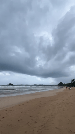 Morning beach scenes with surfers and dogs in Peleana