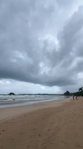 Morning beach scenes with surfers and dogs in Peleana