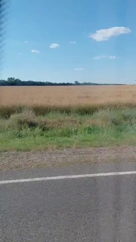 The video shows a view from a vehicle traveling along a paved road. On the right side of the road, there is a field of dry grass and crops. The sky is blue with a few white clouds. The camera is positioned at a slight angle, suggesting the vehicle is in motion.