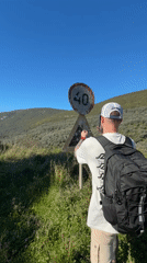Tourist documents Montenegro coastal scenes, olive groves near Ulcinj