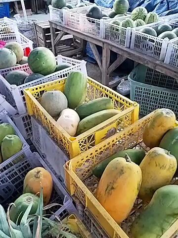 The video displays a vibrant fruit stall at an outdoor market. In the foreground, a crate is filled with ripe papayas, some whole and some cut in half, revealing their orange flesh. Next to it, another crate overflows with green papayas and some smaller, lighter green fruits. Further to the left, a large crate contains rambutans, their spiky red shells prominent. Behind these, a crate is filled with small, brown, round fruits. In the background, various other fruits are visible, including watermelons, melons, and what appear to be limes or small oranges, all neatly arranged in white crates. The stall seems busy, with the implied presence of customers and vendors, suggesting a typical market day. The overall impression is one of abundance and freshness.