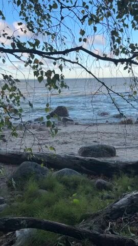 The video shows a natural scene at the edge of a body of water, likely a lake or sea. In the foreground, there is a dense patch of green grass interspersed with rocks and fallen logs, with tree branches and leaves hanging into the frame from the top. The middle ground consists of a sandy beach with several large, rounded stones. Beyond the beach, the water is visible, with gentle waves lapping against the shore. The water is a deep blue color, and there are more stones visible in the water near the shore. The sky above is a pale blue with scattered white clouds, and sunlight appears to be illuminating the scene. The overall impression is one of a peaceful, natural environment. There are no people or animals visible in the video.