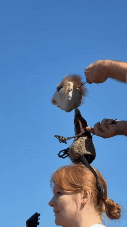 Traditional puppet theater draws families to Khimki waterside park