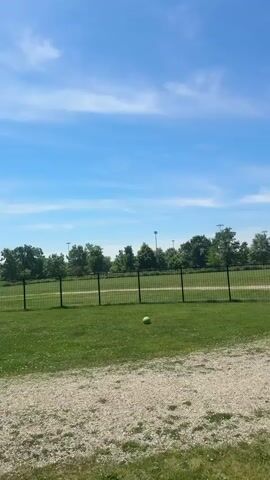 The video shows a dog park on a sunny day. The park is fenced in and has a grassy area, a gravel path, a picnic shelter, and a trash can. There are people and dogs in the park. The sky is blue with some clouds.