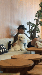 Man and white dog share quiet moment on couch