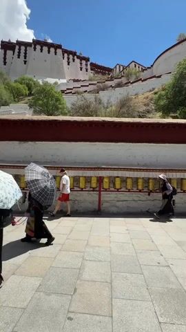 The video captures a bright, sunny outdoor scene featuring people walking along a stone-tiled pathway. In the foreground, a low white wall with a red top edge and a row of golden prayer wheels separates the path from a grassy slope. Several individuals are visible: one person in a white t-shirt and red shorts walks past the prayer wheels, while another person carrying a checkered umbrella walks towards the left of the frame. To the right, two people walk together, one holding a light-colored umbrella, and another person in traditional attire is also seen.

In the background, a majestic, large white and red architectural complex, likely a palace or temple, is prominently situated on a hillside under a clear blue sky with some scattered clouds. Trees and shrubs dot the hillside below the grand structure. The people appear to be either visitors or worshippers, with some possibly engaging with the prayer wheels as they pass. The overall atmosphere is peaceful, set against the backdrop of a significant cultural or religious site.