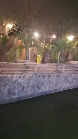 The video shows an outdoor scene at night with artificial lighting. In the foreground is dark water. Behind the water, there is a stone-lined embankment with some palm trees and vegetation. Further back, there are several buildings or structures with lights, and what appear to be tables and chairs, suggesting a dining or seating area. There is also a yellow trash can visible. The lighting creates reflections on the water, and the overall atmosphere appears to be that of a restaurant or resort at night.