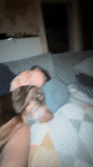 Lazy evening on the couch with a dog in Fürstenfeldbruck
