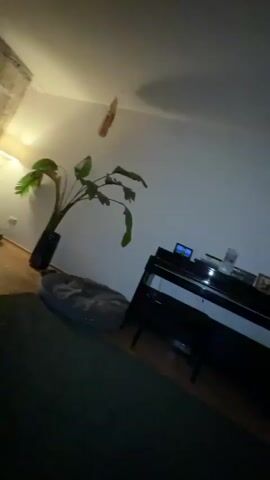 A video begins with a blurry, dark shot of what appears to be a room with wooden floors and furniture. The camera then shifts to a close-up of a person, lying down with their head on a pillow, and a brown dog resting its head on their arm. The person gently strokes the dog's head. The video ends with another blurry shot of what seems to be bedding.