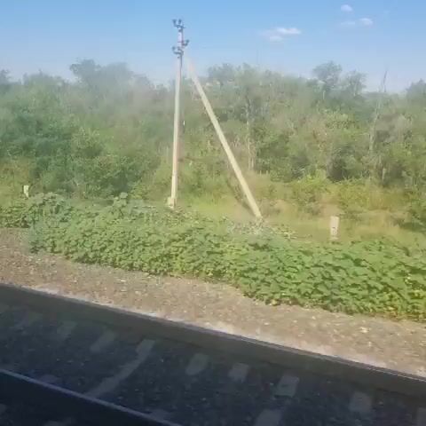 This is a video of a train traveling through a rural landscape. The camera is positioned inside the train, looking out the window. We see the train tracks in the foreground, with gravel and ties visible. Beyond the tracks, there is a strip of greenery, with tall grass and bushes. Further back, there are trees and a clear blue sky with a few white clouds. There are also some utility poles with wires visible, suggesting that this is a developed area, despite the rural scenery. The sun is shining brightly, indicating it is daytime, likely late morning or early afternoon. The overall mood of the video is peaceful and serene, as the train moves smoothly through the countryside. There is no visible text or any people in the frame. The landscape appears to be undeveloped and natural, with a focus on greenery and open spaces. The movement of the train is evident through the slight blur of the scenery, giving a sense of travel and journey. The video captures a typical scene of travel by train in a country setting.
