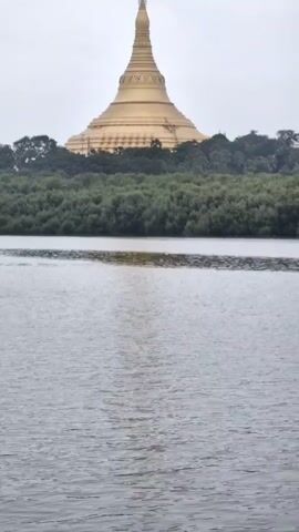 The video shows a wide shot of a golden pagoda-like structure rising above a dense green forest. In the foreground, a body of water with ripples is visible. The sky is overcast. The structure appears to be a Buddhist temple, possibly the Global Vipassana Pagoda in Mumbai, India, given its distinctive shape and color. The video is static and shows no discernible action or people. The environment appears to be natural and tranquil.