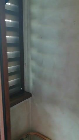 The video shows a view from a window overlooking a green lawn with trees and buildings in the background. The camera pans across the scene.