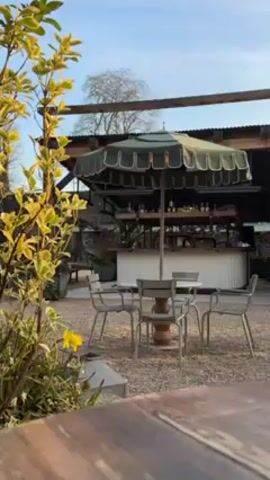The video shows an outdoor seating area in a garden setting. A round table with four metal chairs sits under a green umbrella with a scalloped edge. The area is covered in gravel. In the background, there's a bar structure with shelves filled with bottles. A plant with yellow and green leaves is in the foreground. The sky is blue. There is no visible human presence.