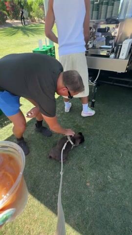 The video shows three people standing on a green lawn near a coffee cart. A man in a dark green shirt and blue shorts is petting a small, dark-colored dog on a leash. The dog is sitting on the grass. Another man, wearing a white tank top and yellow striped shorts, stands at the coffee cart, possibly preparing a drink. There's a green crate and several stacks of cups near the cart. A drink in a clear plastic cup is visible in the foreground. In the background, a person is walking on the grass. The setting seems to be outdoors on a sunny day.