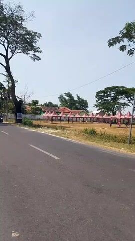 A paved road runs diagonally from the lower left to the upper right of the frame. On the left side of the road, a person on a motorcycle drives past. On the right side of the road, a large, open field is set up with numerous pink and white tents in rows. The field is bordered by trees. The sky is clear and blue.