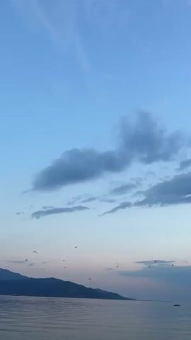 The video shows a serene seascape at dusk. The sky transitions from a soft blue at the top to hues of pink and purple near the horizon, with scattered clouds. A silhouette of a mountain range lines the distant shore. The calm water reflects the twilight sky. Several birds are seen flying across the frame, adding a sense of movement to the tranquil scene. In the far distance, a small boat is visible on the water. The overall atmosphere is peaceful and contemplative.
