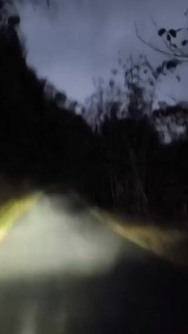 This is a first-person perspective video of driving on a paved road at dusk or night. The headlights of the vehicle illuminate the road ahead, which curves to the left. Dense, dark foliage lines both sides of the road, with the sky visible above, appearing cloudy and dim. The movement suggests the vehicle is in motion, with slight blurring indicating speed. There are no other vehicles or people visible.