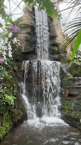 A waterfall cascades over moss-covered rocks within a greenhouse. Orchids in shades of white and pink bloom on the left side of the waterfall. Lush green foliage surrounds the rocks, and large green leaves hang in the foreground, partially obscuring the view. The water collects in a small pool at the base of the falls. The ceiling of the greenhouse is visible in the background.