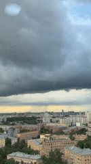 Storm clouds and glass buildings observed with Siamese cat