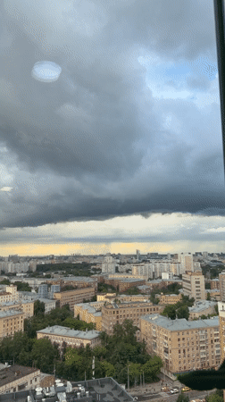 Storm clouds and glass buildings observed with Siamese cat