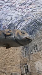Fish art installation and feeding cat spotted in Budva