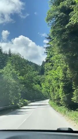 The video is taken from the perspective of someone in a vehicle driving down a paved road through a dense forest. The road curves gently to the right. On either side of the road, tall, lush green trees form a canopy overhead, with sunlight filtering through the leaves. The sky is blue with scattered white clouds. The interior of the vehicle is visible in the foreground.