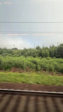 The video captures a landscape from the perspective of a moving train. The foreground shows blurred train tracks. Beyond the tracks, there is a vibrant green field and a dense line of trees. The sky above is overcast. In the middle distance, a bridge structure is visible, supported by pillars and spanning an embankment covered in greenery. The trees continue to form a backdrop for the scene, with some appearing to be deciduous and others coniferous. The overall impression is of a rural or semi-rural environment seen during daytime travel. There are no people or animals visible in the video.