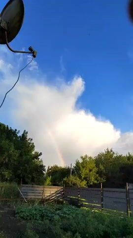 The video shows a wide shot of a backyard with a rainbow visible in the sky. A satellite dish is mounted on a pole in the upper left corner. In the foreground, there is lush green vegetation and a dirt path. Behind the vegetation is a wooden fence. Trees line the horizon. The sky is a vibrant blue with fluffy white clouds. The rainbow arcs across the sky, its colors muted by the bright daylight. The overall scene suggests a peaceful, rural setting after a rain shower.