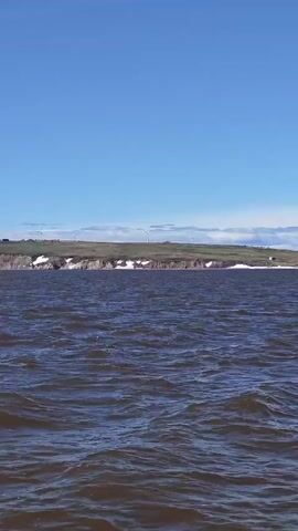 The video shows a view from a boat moving on choppy, dark water. In the distance, there is a cliff with green grass on top. Several white wind turbines are visible on the cliff. The sky is blue with some white clouds. The water appears to be a river or a bay. The camera is positioned low, looking out towards the horizon.
