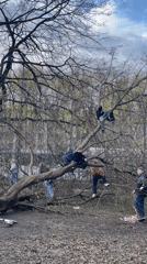 Spring afternoon activities recorded across Khimki parks and waterways