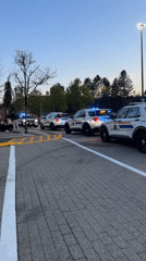 RCMP vehicles with emergency lights gather in Coquitlam