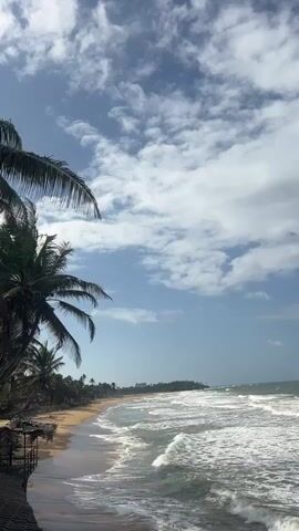 The video shows a tropical beach with palm trees in the foreground on the left side. The ocean is to the right, with waves crashing on the shore. The sky is blue with white clouds. There is a sandy beach with a few small structures, possibly huts, near the palm trees. The camera is positioned to capture a wide view of the beach and ocean, with a slight tilt upwards towards the sky. No people are visible in the video.