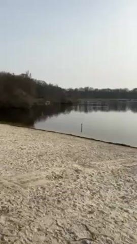 The video shows a sandy beach next to a still body of water, likely a lake, on a clear, sunny day. The camera pans from left to right, revealing a line of trees in the distance along the far bank. A single dark post sticks up out of the water near the shoreline. Further along the beach, several ducks are visible near the water's edge. As the camera pans further right, two people are seen sitting on a blanket, seemingly having a picnic. A building is visible in the background, partially obscured by trees. The overall impression is a peaceful scene at a lake or pond.