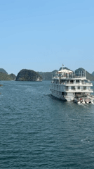 Morning cruise captures serene Ha Long Bay limestone landscapes