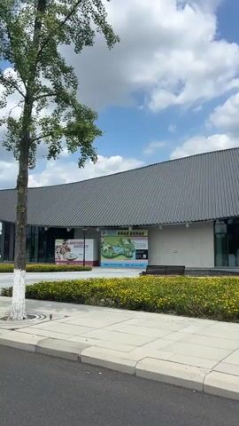 The video begins with a wide shot of a modern building with a grey, sloped roof. A large green tree is on the left side of the frame, and a sidewalk with a planter of yellow flowers runs in front of the building. Two large signs with Chinese characters are visible on the facade of the building. A bench is placed in the flower bed. The camera pans to the right, revealing more of the building's entrance, which features a large covered walkway. A blue street sign with Chinese characters and Pinyin is prominently displayed on a pole in the foreground. The sign reads "五都大道" and below it, "NEI WU DU DA DAO > 略". The building appears to be a public facility or museum. The sky is blue with scattered white clouds, suggesting daytime. The environment appears to be well-maintained and landscaped.