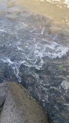 The video shows a rocky stream of water flowing past the foreground rock. The water is foamy and appears to be rushing through the stream. There are rocks scattered along both sides of the stream. The scene is somewhat hazy, possibly due to fog or mist.