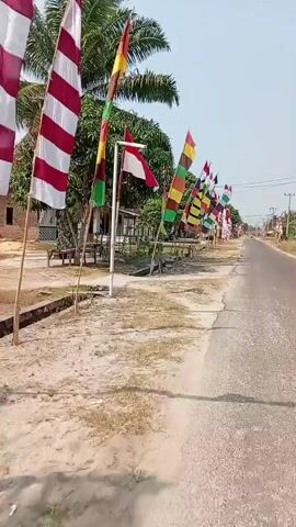 The video shows a roadside decorated with numerous colorful flags. The flags are mounted on poles and arranged in a line along the side of a paved road. The flags are of various designs and colors, with some featuring horizontal stripes of different hues and others appearing to be national flags. The environment appears to be a rural or semi-rural area, with houses and trees visible in the background. The sky is clear and the sun is shining, suggesting a bright day. The camera is moving, capturing a sweeping view of the flagged roadside.