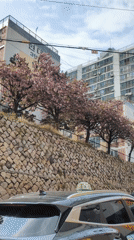 Spring morning scenes documented across urban Ulsan, South Korea