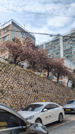 Spring morning scenes documented across urban Ulsan, South Korea