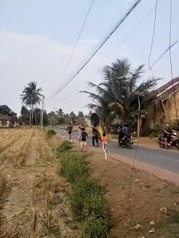 A group of children are walking along a rural road carrying large kites. A motorcycle is passing them on the road. The landscape is rural, with dry fields and palm trees. The sky is overcast.