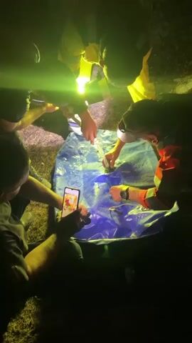 A group of people are gathered around a large blue tarp spread out on the ground at night, illuminated by bright spotlights. Some of the individuals appear to be wearing safety vests or work uniforms. They are leaning over the tarp, with their hands engaged in an activity. One person is holding a smartphone, filming the scene. The tarp has some water or liquid on it, and there are small objects visible within the water. The surrounding environment appears to be outdoors, with grass and possibly foliage visible in the background, but it is largely obscured by darkness and the intense lighting. The overall impression is that of a task or rescue operation being conducted under challenging lighting conditions.