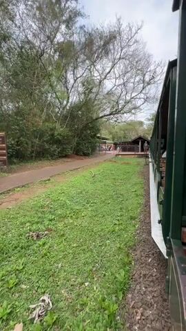 The video shows a side view of a train moving along a track next to a grassy area. In the background, there is a path and a building with a covered area where several people are gathered. Trees with bare branches are visible above the building. The train car is green with wooden seats. The camera appears to be mounted on the moving train, giving a perspective of the landscape passing by.
