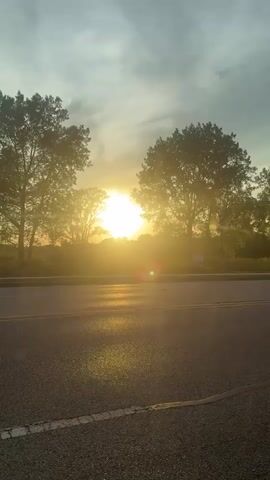 The video shows a sunset, framed by two trees, seen from a roadside. The sun is bright, reflecting off the road surface. A car drives by on the road. The sky is cloudy.