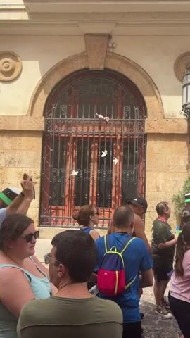 A crowd of people, many wearing green shirts, are gathered outside a building with a prominent arched entrance. Some people are on a balcony above, waving. Several individuals are climbing over a barred window and entering the building through an opening. Some are wearing hats. The building has a sign that reads "AJUNTAMENT DE SAiGUNT." The environment appears to be outdoors on a sunny day, with cobblestone pavement visible.