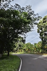 Rural Indonesian road sees vehicle traffic during overcast conditions