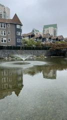 Evening scenes captured in Coquitlam: pond fountains, construction progress