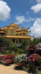Traditional yellow temple structure documented in Da Lat, Vietnam