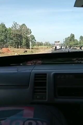 The video shows a view from inside a vehicle, looking out through the windshield. A road is visible ahead, with a large truck in the distance traveling in the same direction. On either side of the road are fields and trees, and telephone poles are visible along the roadside. The dashboard of the vehicle is in the foreground, showing vents and controls. The sky is clear and bright.