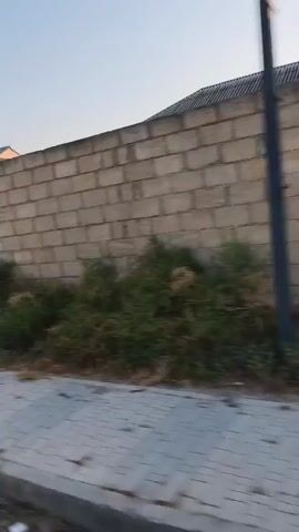 The video shows a person walking along a sidewalk next to a brick wall. There is overgrown vegetation on the other side of the wall. The person continues walking and passes by a large metal gate with decorative elements. The video ends with the person passing by a large green metal gate. The scene appears to be an outdoor environment with houses and gates visible.