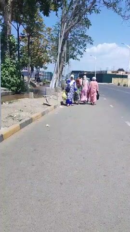 The video shows a group of four women walking along a paved road on a sunny day. The women are dressed in long, colorful dresses and headscarves, suggesting they are in a Muslim-majority region. They are walking on the right side of the road, and there are vehicles visible in the background. The environment appears to be an urban or semi-urban area, with trees and buildings lining the road. The women are walking together, and one of them is carrying a shopping bag. The camera is positioned behind the women, following them as they walk.